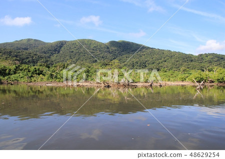 Mangroves of Nakama River, Iriomote Island Okinawa Tourism 48629254