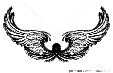 Wings isolated on white background,hand drawing Wings isolated on white background,hand drawing 48629928