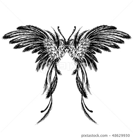 Wings isolated on white background,hand drawing Wings isolated on white background,hand drawing 48629930