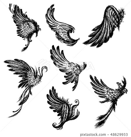Set Wings isolated on white background,hand drawing Set Wings isolated on white background,hand drawing 48629933