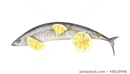 Grilled fish with lemon. Watercolor Grilled fish with lemon. Watercolor 48629946