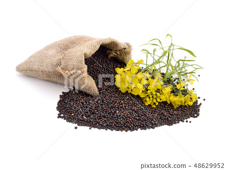 Rapeseed with flowers. Rapeseed with flowers. 48629952
