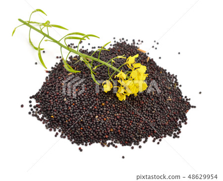 Rapeseed with flowers. Rapeseed with flowers. 48629954