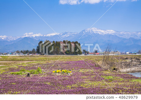 Aizu plain of spring 48629979