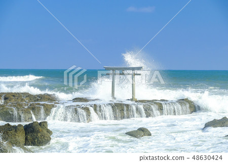 Waves and torii 48630424