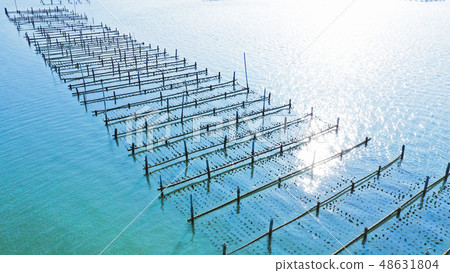 蚵田 蚵架 七股 台灣 風景 48631804