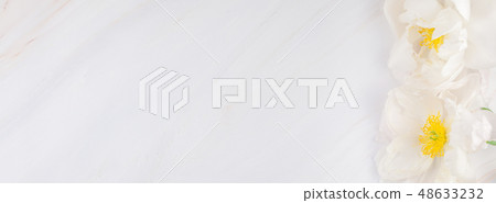 White peony flowers on marble background 48633232