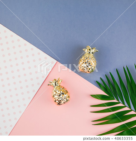 Tropical palm leaves on color paper background Tropical palm leaves on color paper background 48633355