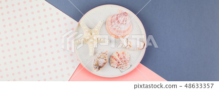 Plate with seashells on color paper background 48633357