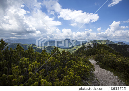 Mountain panorama view of Brecherspitze, Bavaria 48633725