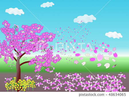 景觀與鮮花·春天·櫻之 48634065
