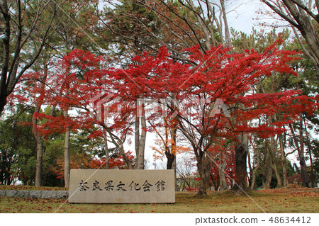 Nara Prefectural Cultural Center / Nara Prefecture Nara City Ojichoji Town 48634412