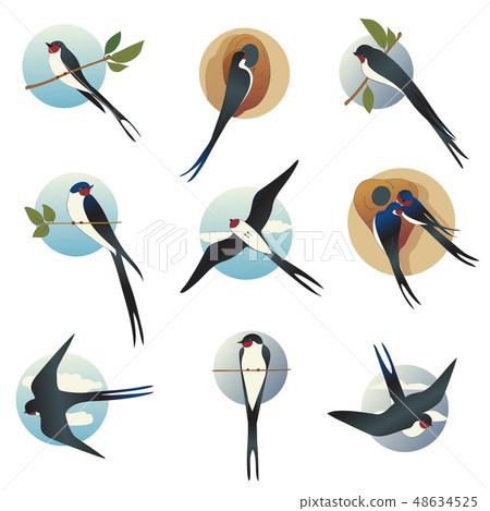 Flat vector set of martlets or barn swallows with circle shape background. Wild bird with long Flat vector set of martlets or barn swallows with circle shape background. Wild bird with long 48634525