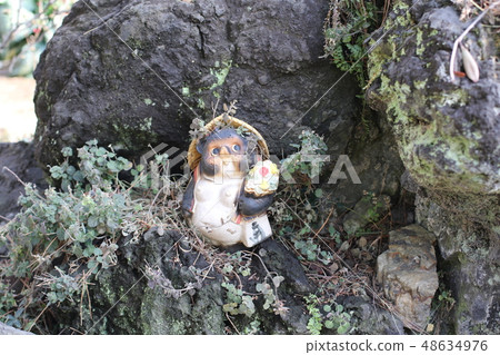 浣熊狗的裝飾品 浣熊狗的裝飾品 48634976
