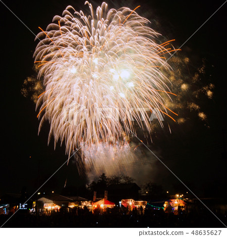 煙花，大冠菊，夜空 48635627