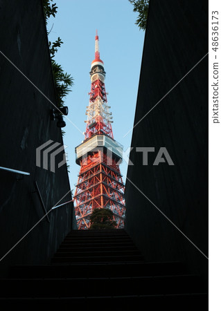 東京鐵塔 東京鐵塔 48636173