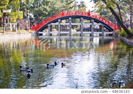 Sumiyoshi Taisha's Taiko Bridge Sumiyoshi Taisha's Taiko Bridge 48636183