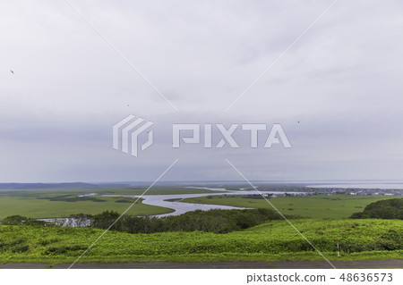 Kiritagi moor summer view Kiritagi moor summer view 48636573