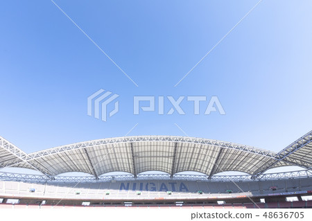 Football stadium image (Denka Big Swan Stadium) 48636705