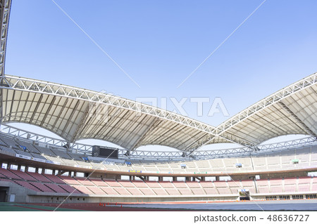 Football stadium image (Denka Big Swan Stadium) 48636727