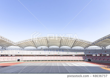 足球場圖像(登卡大天鵝體育場) 足球場圖像(登卡大天鵝體育場) 48636737