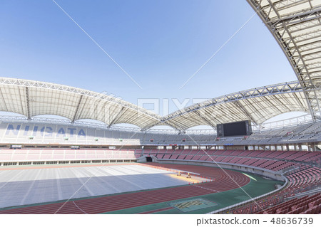 足球場圖像(登卡大天鵝體育場) 足球場圖像(登卡大天鵝體育場) 48636739