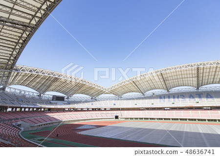 Football stadium image (Denka Big Swan Stadium) 48636741