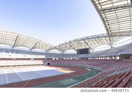 Football stadium image (Denka Big Swan Stadium) 48636753