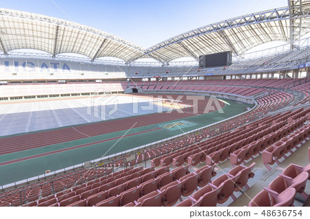 Football stadium image (Denka Big Swan Stadium) 48636754