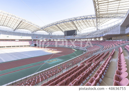 足球場圖像（登卡大天鵝體育場） 48636755