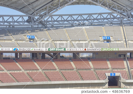 Football stadium image (Denka Big Swan Stadium) 48636769