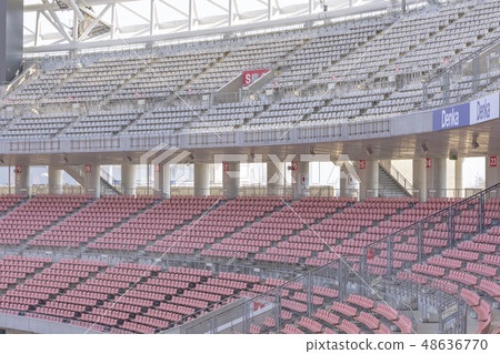 Football stadium image (Denka Big Swan Stadium) 48636770