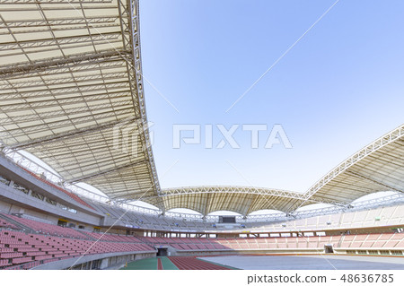 足球場圖像(登卡大天鵝體育場) 足球場圖像(登卡大天鵝體育場) 48636785