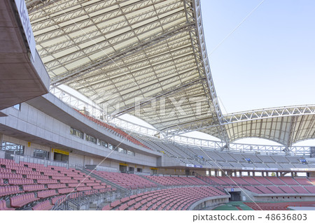 Football stadium image (Denka Big Swan Stadium) 48636803