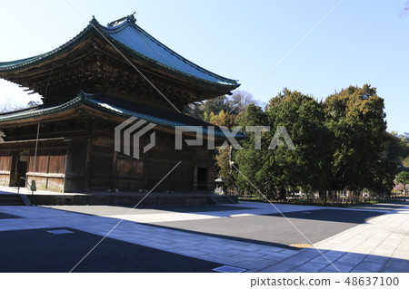 Kenchoji Temple 48637100
