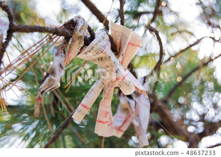 Omikuji of Sumiyoshi Shrine Omikuji of Sumiyoshi Shrine 48637233