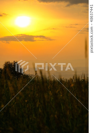 Dusk (Seedan Highlands) Dusk (Seedan Highlands) 48637441