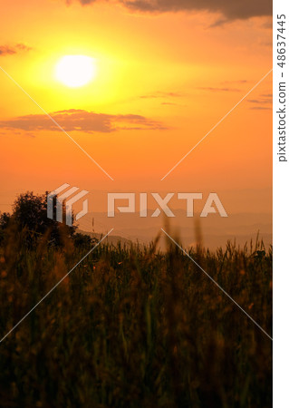 Dusk (Seedan Highlands) 48637445