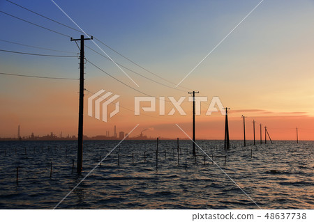 Egawa海岸的晚上視圖 48637738