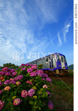 The Kansai main line in the rainy season 48637802