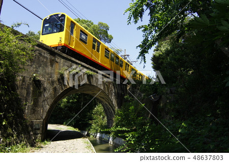 Torsion bridge 48637803