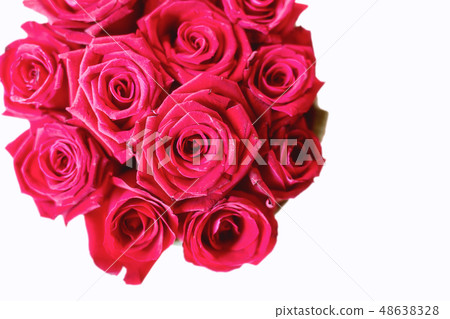 pink roses bouquet isolated on white pink roses bouquet isolated on white 48638328