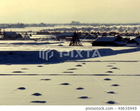 SL Landscape Photo Color SL Landscape Photo Color 48638949