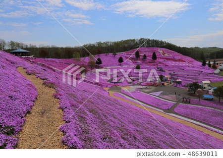 北海道大空町東本琴芝櫻公園 48639011