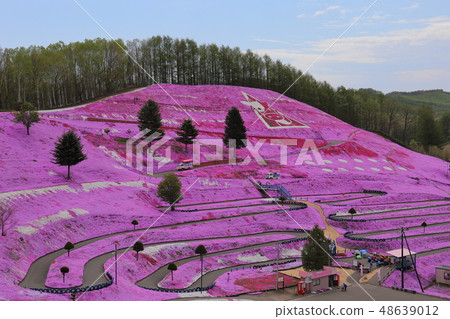 北海道大空町東本琴芝櫻公園 48639012
