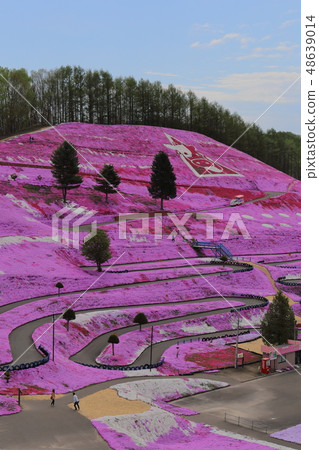 Hokkaido Ozora Town Higashimokoto Shibazakura Park 48639014