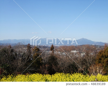 旅遊形象強姦開花 旅遊形象強姦開花 48639189