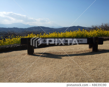 旅遊形象強姦開花 旅遊形象強姦開花 48639190