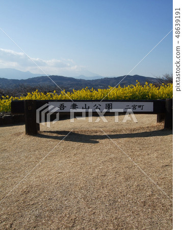 旅遊形象強姦開花 旅遊形象強姦開花 48639191