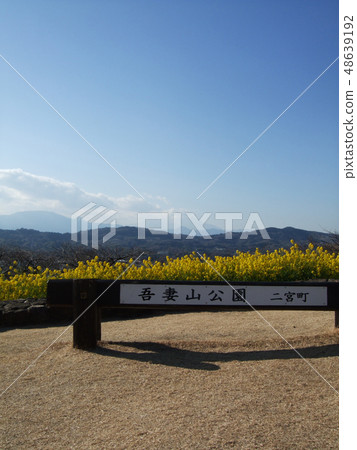 旅遊形象強姦開花 旅遊形象強姦開花 48639192